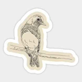 Little Bird Sketch Sticker